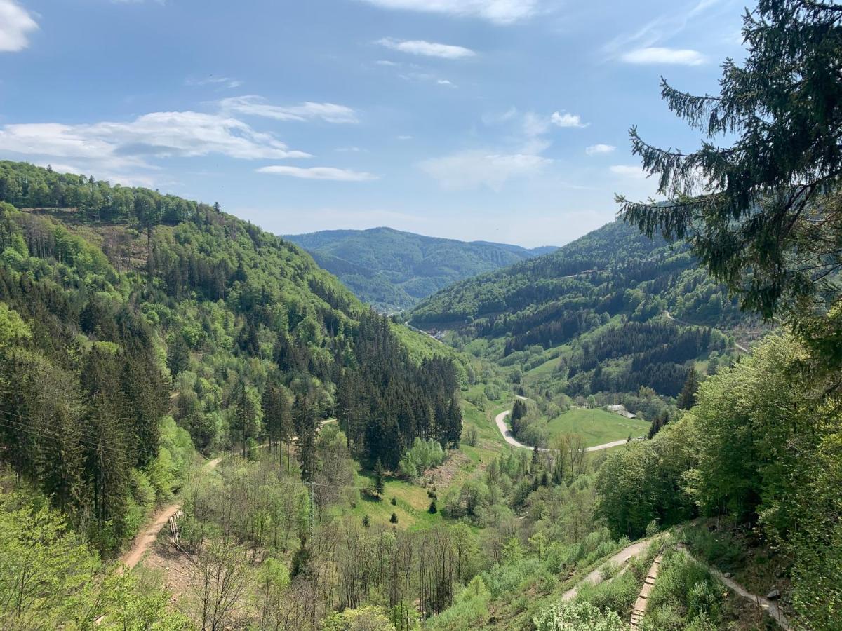 Residenz Schauinsland Todtnauberg - Fewo 17 - Sauna - Spielzimmer Fuer Kinder - Naehe Feldberg Экстерьер фото